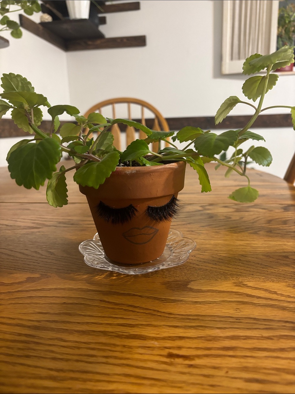 Hand-Painted Terracotta Planter with Lashes